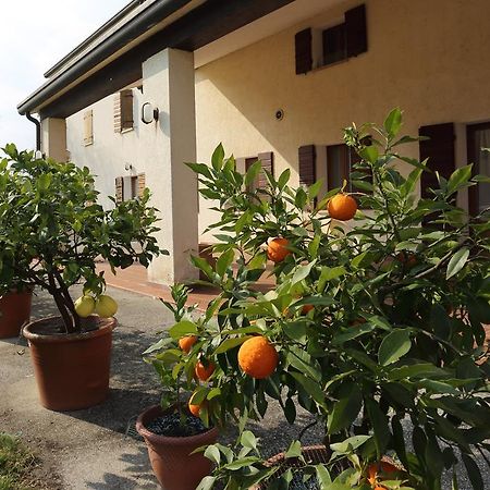 Albergo Volpara Mussolente Esterno foto
